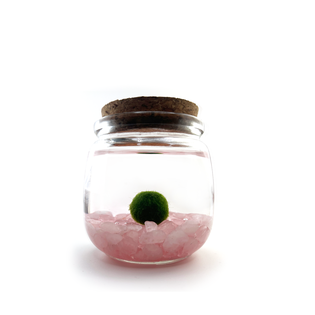 Rose Quartz Marimo Moss Ball Terrarium, 3&quot;