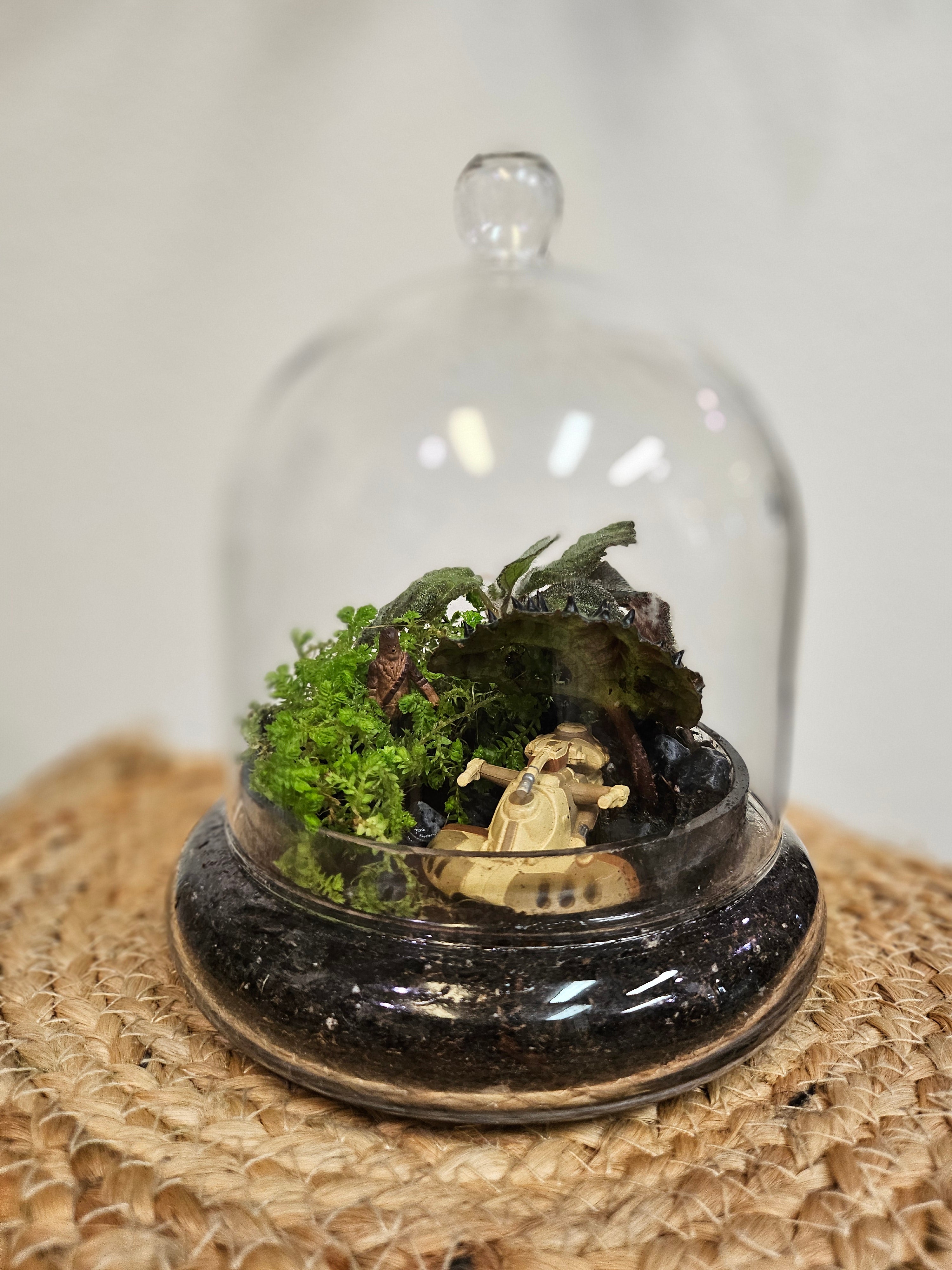 Custom Terrariums: Bringing Nature and Imagination to Life