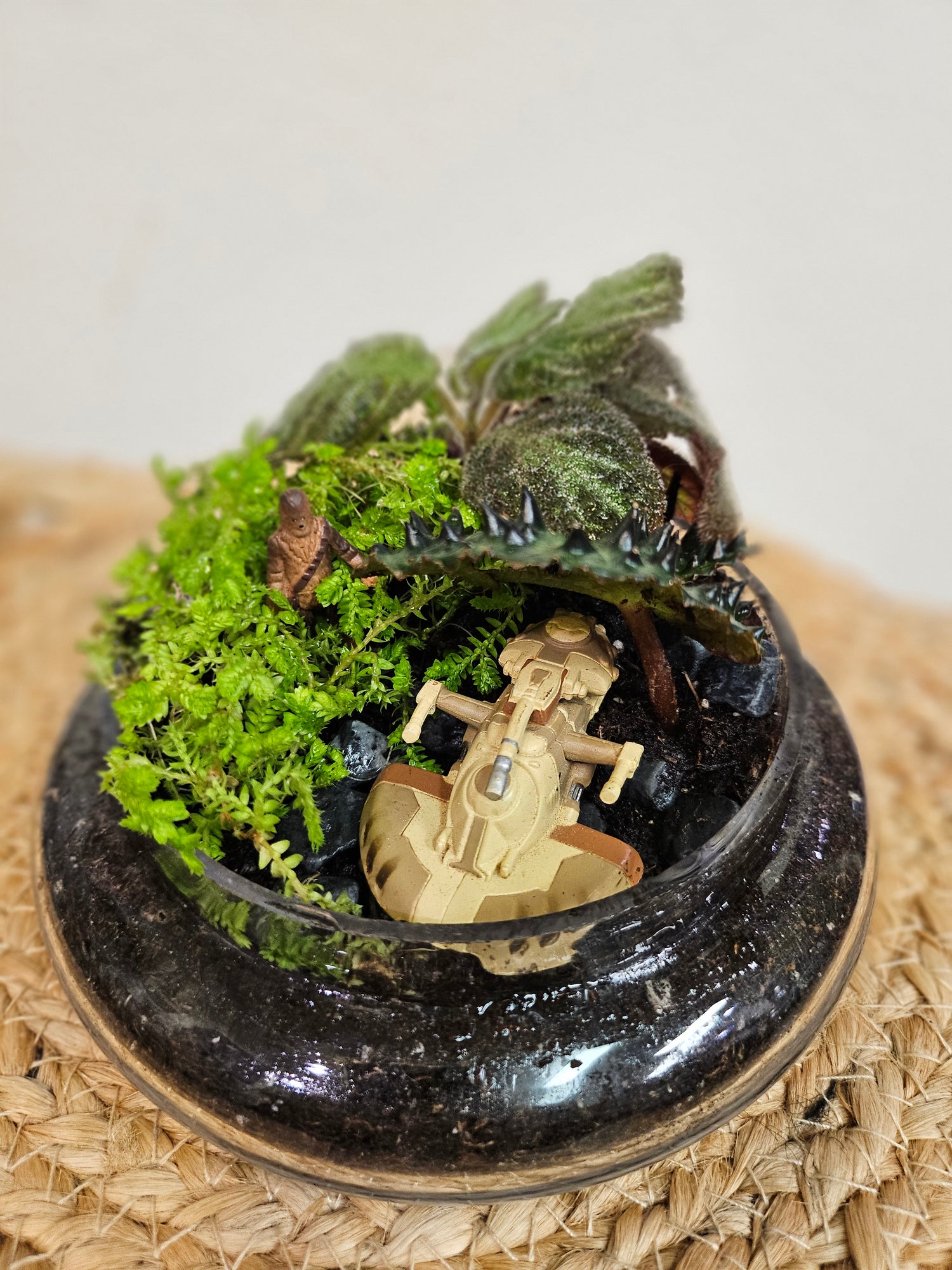 Custom Terrariums: Bringing Nature and Imagination to Life