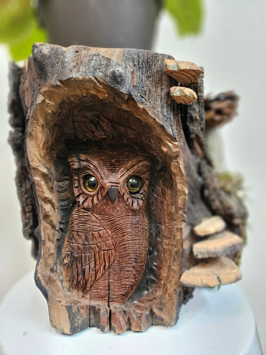 Wood Spirit: Hand-Carved Owl &amp; Mushroom Wood Spirit Planter in Solid Walnut (13&quot; x 8&quot;)