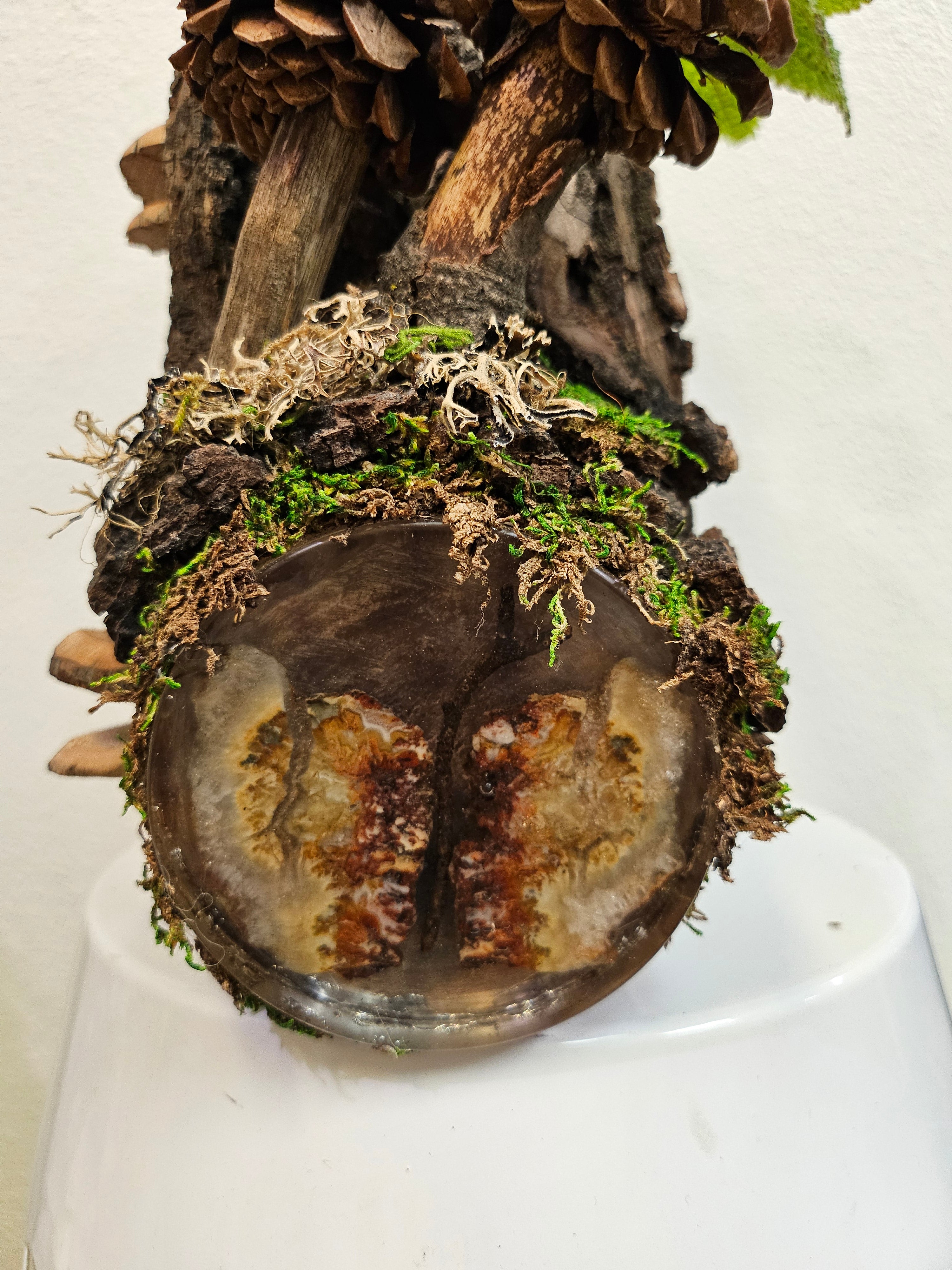 Wood Spirit: Hand-Carved Owl &amp; Mushroom Wood Spirit Planter in Solid Walnut (13&quot; x 8&quot;)