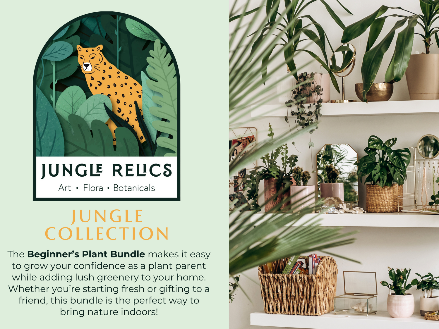 The Beginner’s Plant Bundle makes it easy to grow your confidence as a plant parent while adding lush greenery to your home. Whether you’re starting fresh or gifting to a friend, this bundle is the perfect way to bring nature indoors!