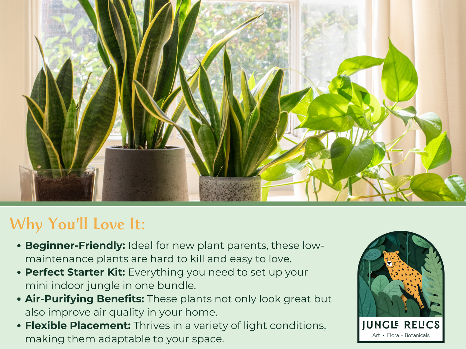 The Beginner’s Plant Bundle makes it easy to grow your confidence as a plant parent while adding lush greenery to your home. Whether you’re starting fresh or gifting to a friend, this bundle is the perfect way to bring nature indoors!