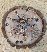 Discover KStonely’s Jeweled Insect and Creature Art on Black Walnut Base featuring stunning 3D beaded sculptures. Crafted with glass crystals, agate, pearls, and fine beads, each piece celebrates nature’s beauty. Perfect as decor or gifts for insect lovers, these unique stone and bead creations add charm to any space.