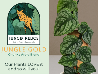 Jungle Gold Chunky Aroid Soil-less Blend is a handcrafted, peat-free blend, perfect for aroids, tropicals, orchids, and rare plants. Moisture-retentive yet well-draining, it mimics natural habitats for healthy roots and vibrant growth. Ideal for Monstera, Anthuriums, and more. Hand-mixed fresh in our Idaho plant shop.