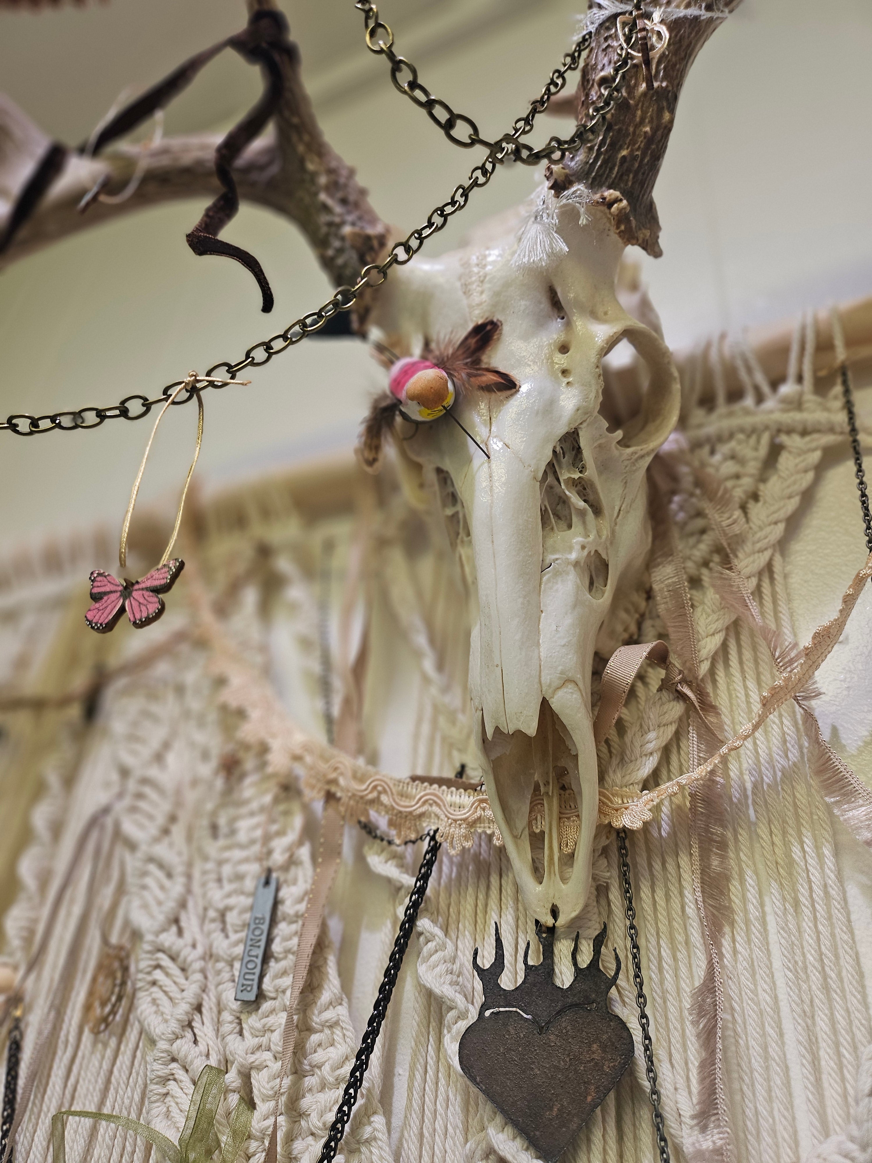 Hopes, Dreams, and Nightmares by Angel Singh is a hauntingly beautiful mixed-media art installation featuring a decorated deer skull suspended in intricate macramé. Symbolizing life, death, and rebirth, this 3&