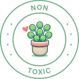 Non Toxic Plant