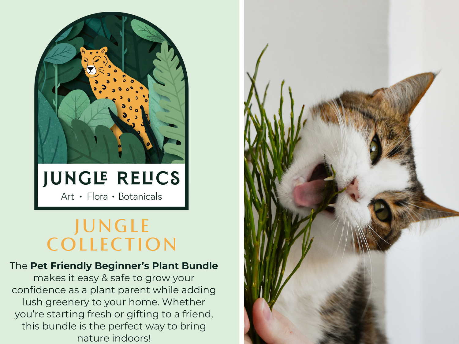 The Pet-Safe Beginner’s Plant Bundle is the perfect way to start your indoor garden without compromising your pet’s safety. Whether you’re a new plant parent or gifting to a pet lover, this bundle is a thoughtful and worry-free way to bring greenery home!