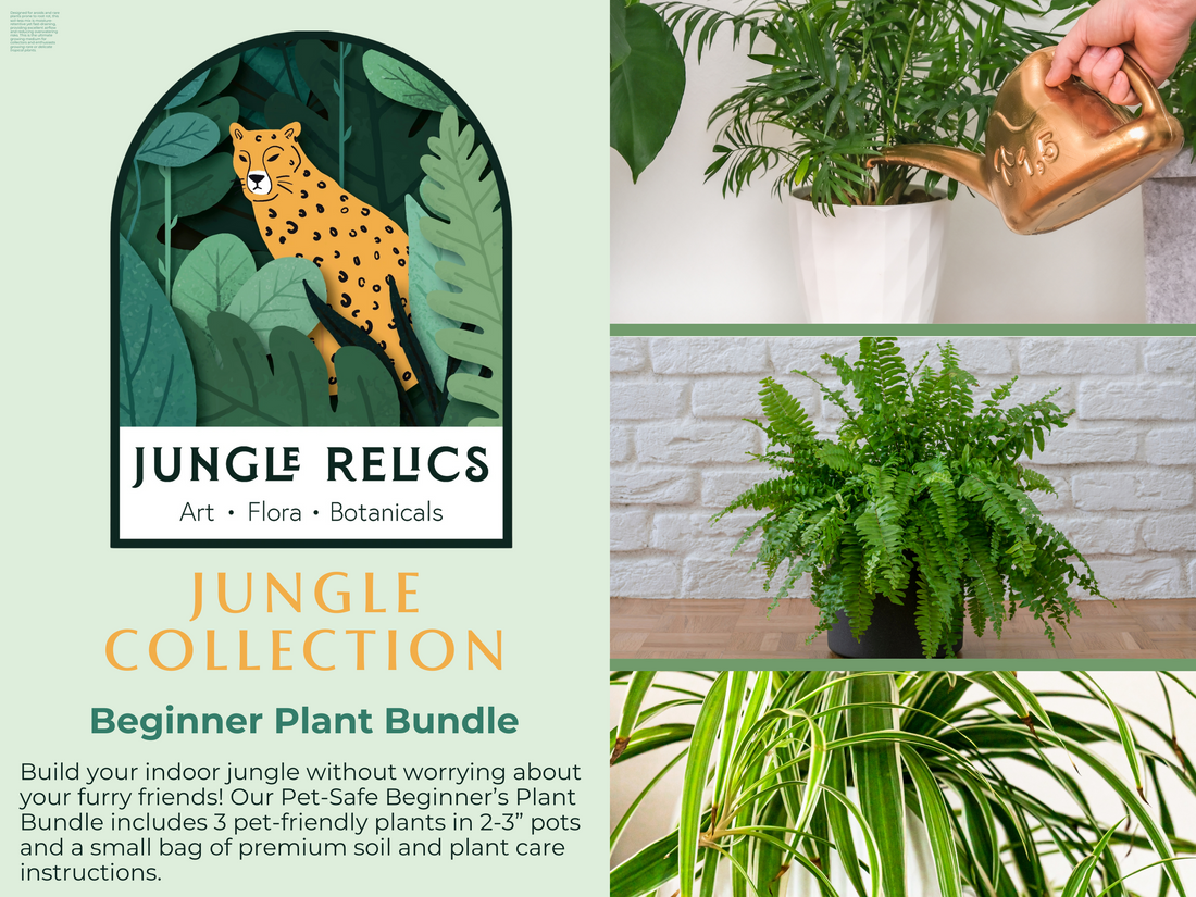 The Pet-Safe Beginner’s Plant Bundle is the perfect way to start your indoor garden without compromising your pet’s safety. Whether you’re a new plant parent or gifting to a pet lover, this bundle is a thoughtful and worry-free way to bring greenery home!