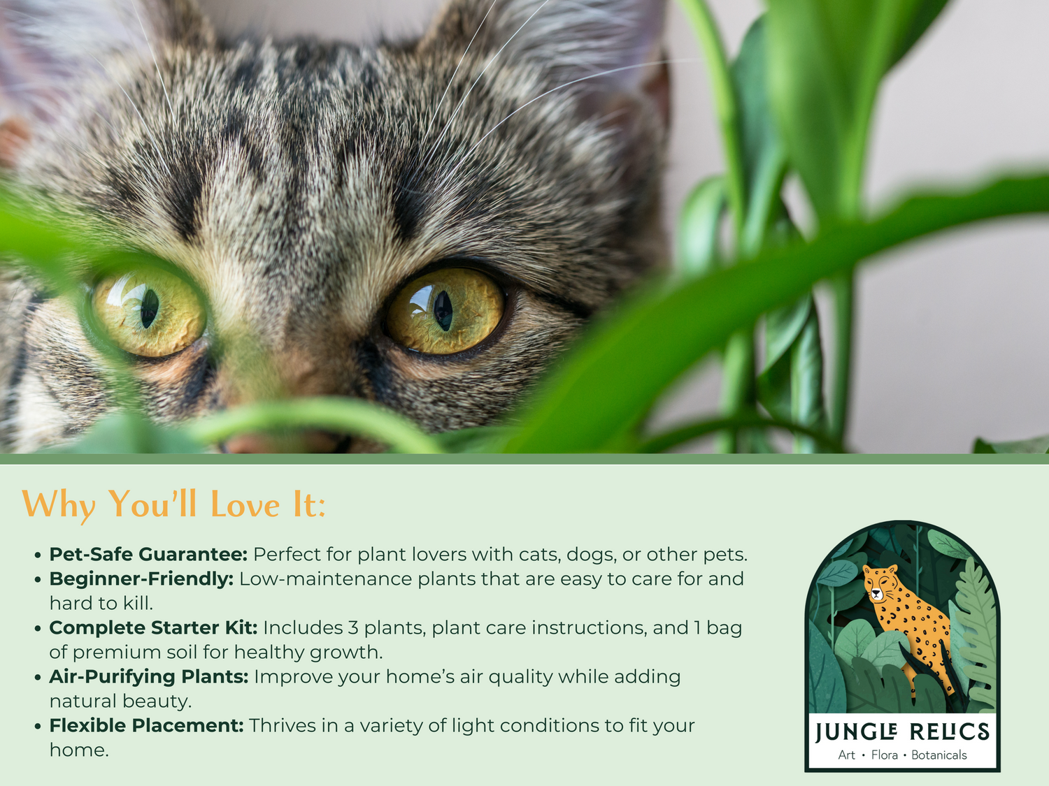 The Pet-Safe Beginner’s Plant Bundle is the perfect way to start your indoor garden without compromising your pet’s safety. Whether you’re a new plant parent or gifting to a pet lover, this bundle is a thoughtful and worry-free way to bring greenery home!