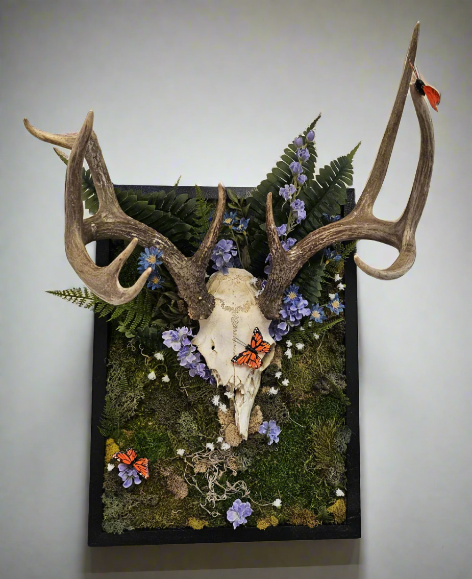 Reclamation by Ryan Doran is a 14&quot;x18&quot; mixed-media art piece featuring a partially decorated deer skull adorned with flowers, preserved moss, and ferns. Framed in sleek black wood, it symbolizes nature&