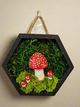 is a charming collection of four 5" x 5" mixed-media art pieces featuring mushrooms, gemstones, and blossoms. Blending preserved natural textures with handcrafted details, this series celebrates forest magic. Perfect for woodland-inspired décor or cozy spaces.