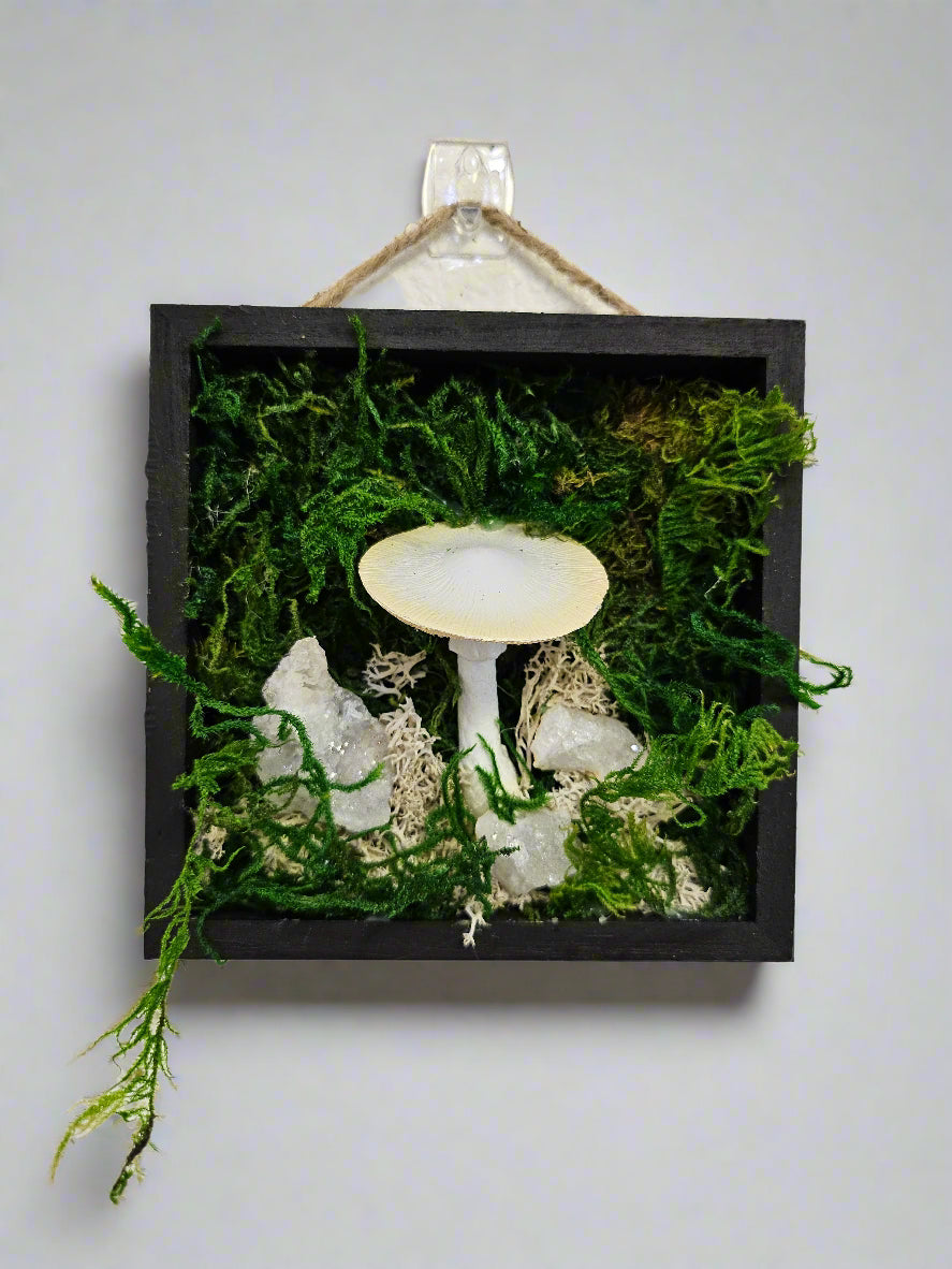 Woodland Miniatures by Angel Singh is a charming collection of four 5&quot; x 5&quot; mixed-media art pieces featuring mushrooms, gemstones, and blossoms. Blending preserved natural textures with handcrafted details, this series celebrates forest magic. Perfect for woodland-inspired décor or cozy spaces.